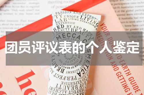 团员评议表的个人鉴定