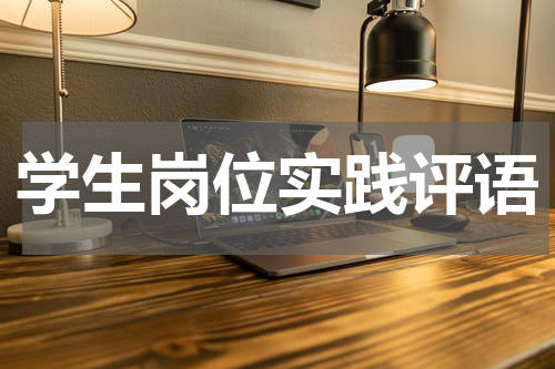 学生岗位实践评语