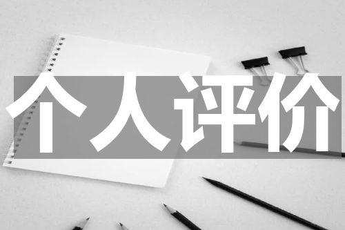个人评价