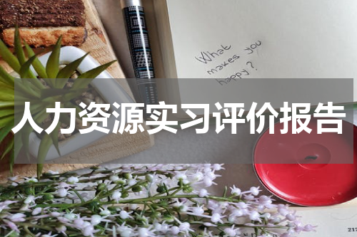 人力资源实习评价报告