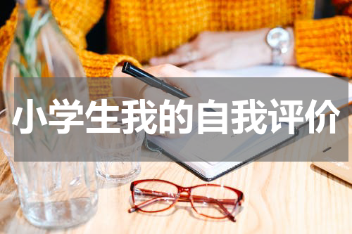 小学生我的自我评价