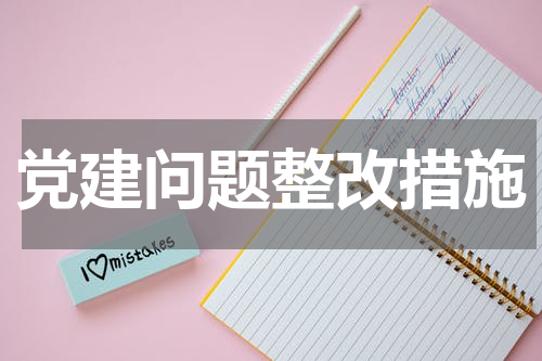 党建问题整改措施