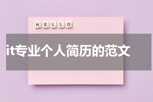 it专业个人简历的范文