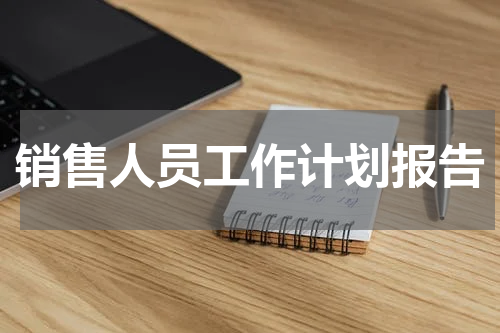 销售人员工作计划报告