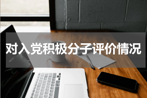 对入党积极分子评价情况