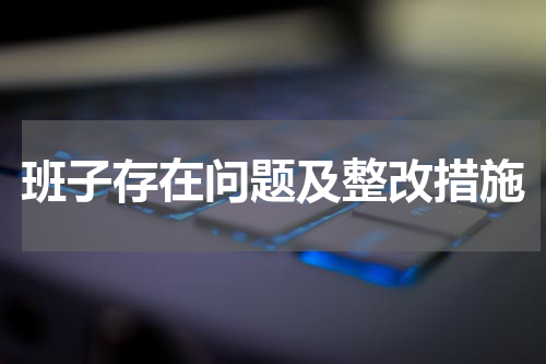 班子存在问题及整改措施
