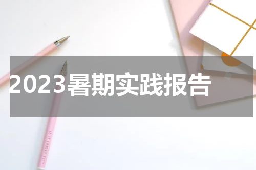2023暑期实践报告