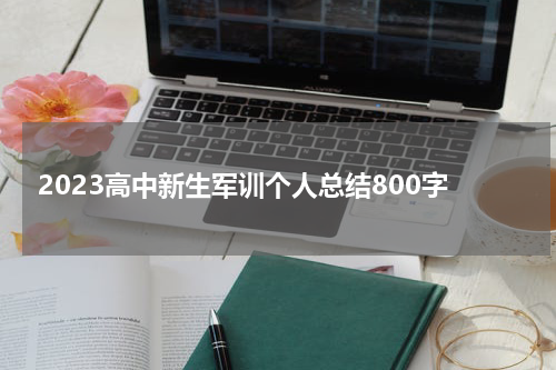 2023高中新生军训个人总结800字
