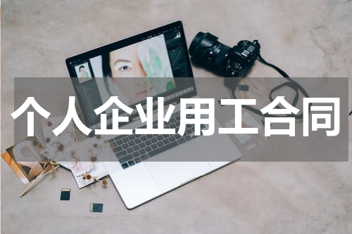 个人企业用工合同