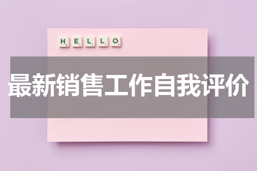 最新销售工作自我评价