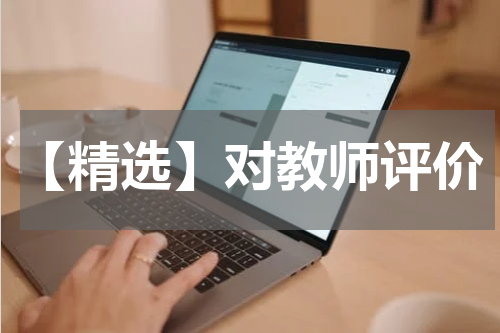 【精选】对教师评价