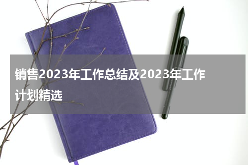 销售2023年工作总结及2023年工作计划精选