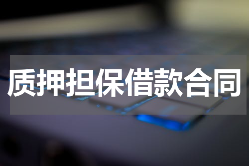 质押担保借款合同