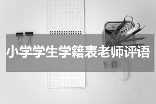 小学学生学籍表老师评语
