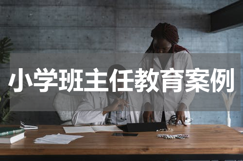 小学班主任教育案例