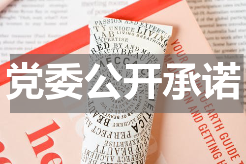 党委公开承诺