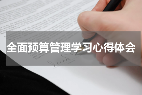 全面预算管理学习心得体会
