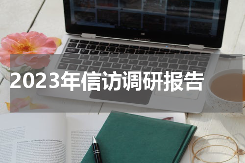 2023年信访调研报告