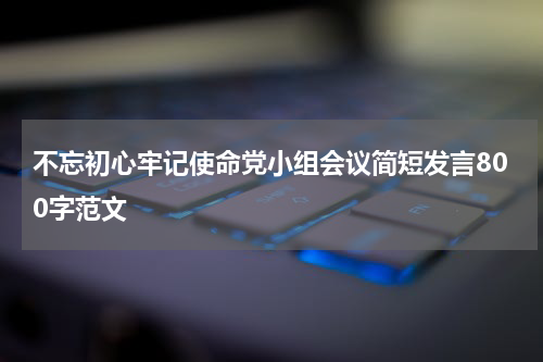 不忘初心牢记使命党小组会议简短发言800字范文