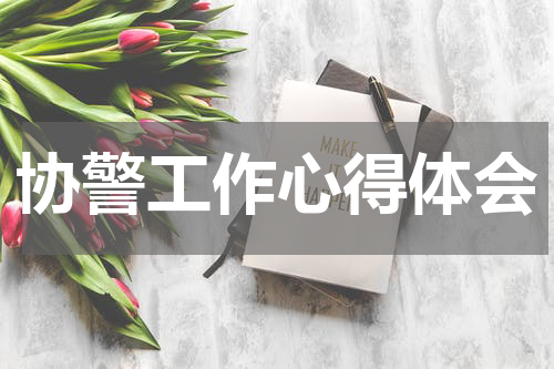 协警工作心得体会