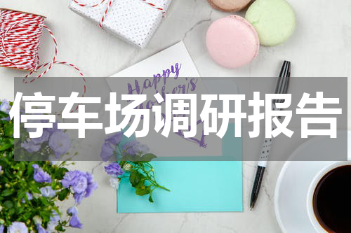 停车场调研报告