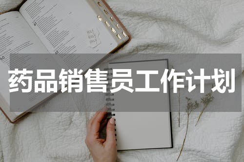 药品销售员工作计划