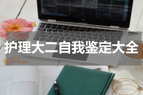 护理大二自我鉴定大全