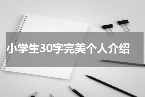 小学生30字完美个人介绍