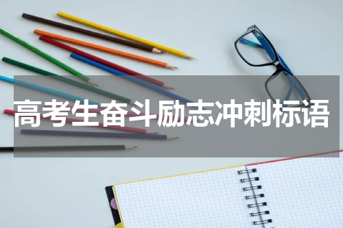 高考生奋斗励志冲刺标语