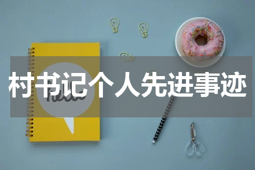 村书记个人先进事迹