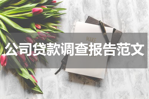 公司贷款调查报告范文