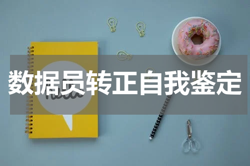 数据员转正自我鉴定