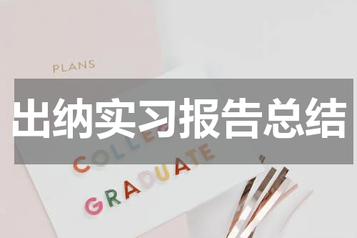 出纳实习报告总结