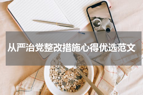 从严治党整改措施心得优选范文