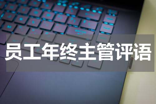 员工年终主管评语