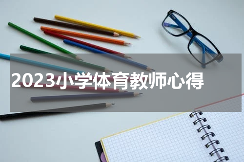 2023小学体育教师心得