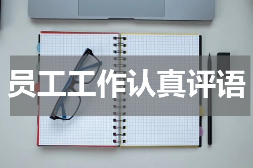 员工工作认真评语