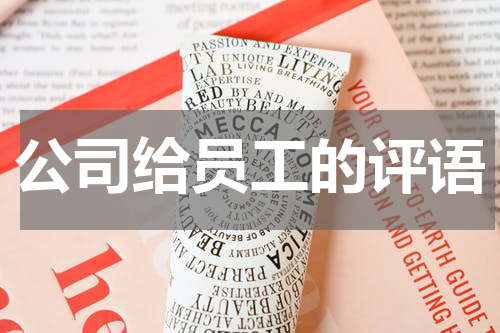 公司给员工的评语
