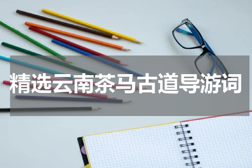 精选云南茶马古道导游词