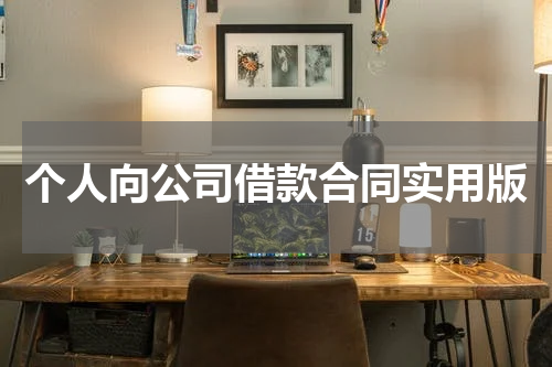 个人向公司借款合同实用版