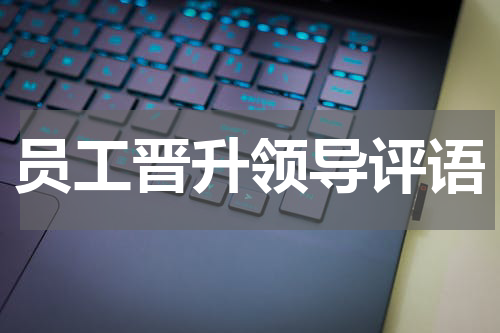 员工晋升领导评语