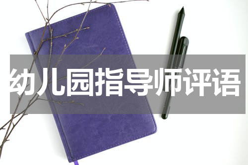 幼儿园指导师评语