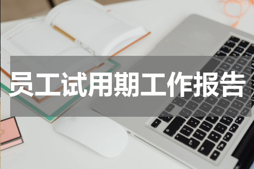 员工试用期工作报告