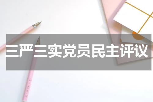 三严三实党员民主评议