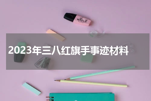 2023年三八红旗手事迹材料