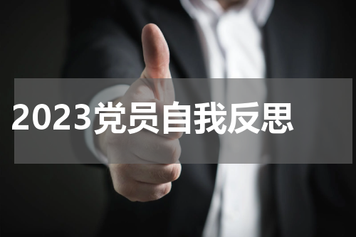 2023党员自我反思