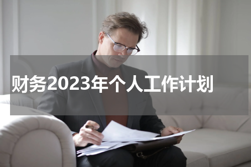 财务2023年个人工作计划