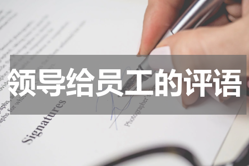 领导给员工的评语