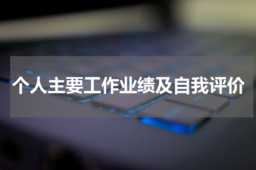 个人主要工作业绩及自我评价