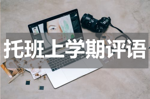 托班上学期评语